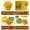 B, variant on Double Layer Round Hamburger Lunch Box Microwave Safe Sealed Food Storage Case, Style B