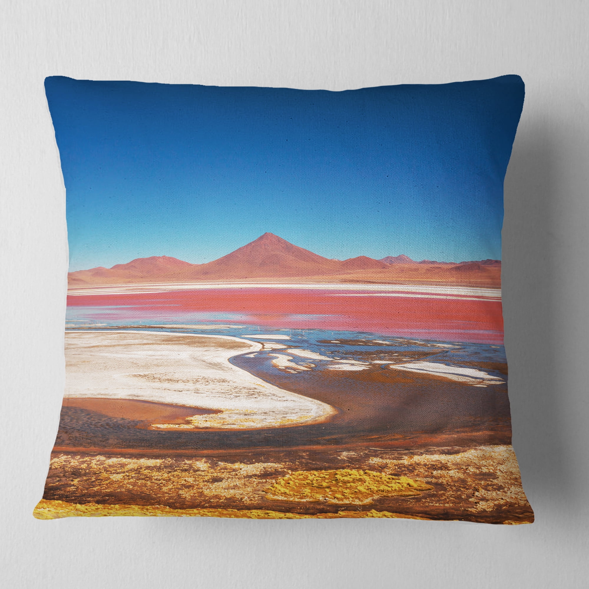 Designart High Mountains in Bolivia - Landscape Wall Throw Pillow - 18x18
