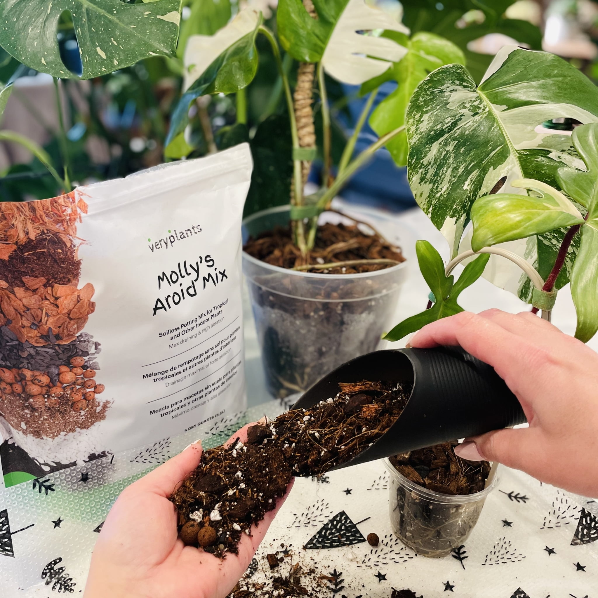 Molly's Aroid Mix - A Premium Tropical Plant Soilless Potting Mix by VERYPLANTS