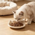 thumbnail image 5 of Cat Face Shaped Pet Food Bowl with Non-Slip Base, Shallow Rim Plastic Dish for Wet Dry Treats Kibble, Cute Design for Mealtime, 5 of 6