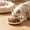 Beige, variant on Snmubt Cute Animal Face Shaped Pet Bowl, Non-Skid Plastic Shallow Dish for Cat Food, Kibble & Wet Food Feeder Green