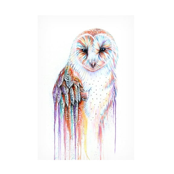 Trademark Fine Art Michelle Faber Barred Rainbow Owl Canvas Wall Art - 22x32