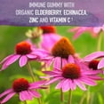 thumbnail image 3 of Suplemento: 120 gomitas de saúco Garden of Life Organics, 3 of 8