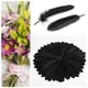 thumbnail image 3 of Plumas de gallo de múltiples aplicaciones, plumas de ganso naturales de primera calidad para sombreros, disfraces y decoraciones para eventos, 3 of 8