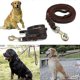 thumbnail image 1 of Dog Leash , 2m Long Heavy Duty Handmade Leather Pet Dog Training Lead Leash, 1 of 3