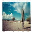 thumbnail image 3 of Ambesonne Cactus Shower Curtain, Sunny Hot Desert Plant, 69"Wx84"L, Multicolor, 3 of 5