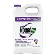 Roundup Super Concentrate Weed & Grass Killer, 1 gal