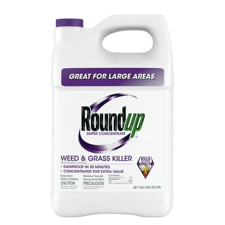 Roundup Super Concentrate Weed & Grass Killer, 1 gal