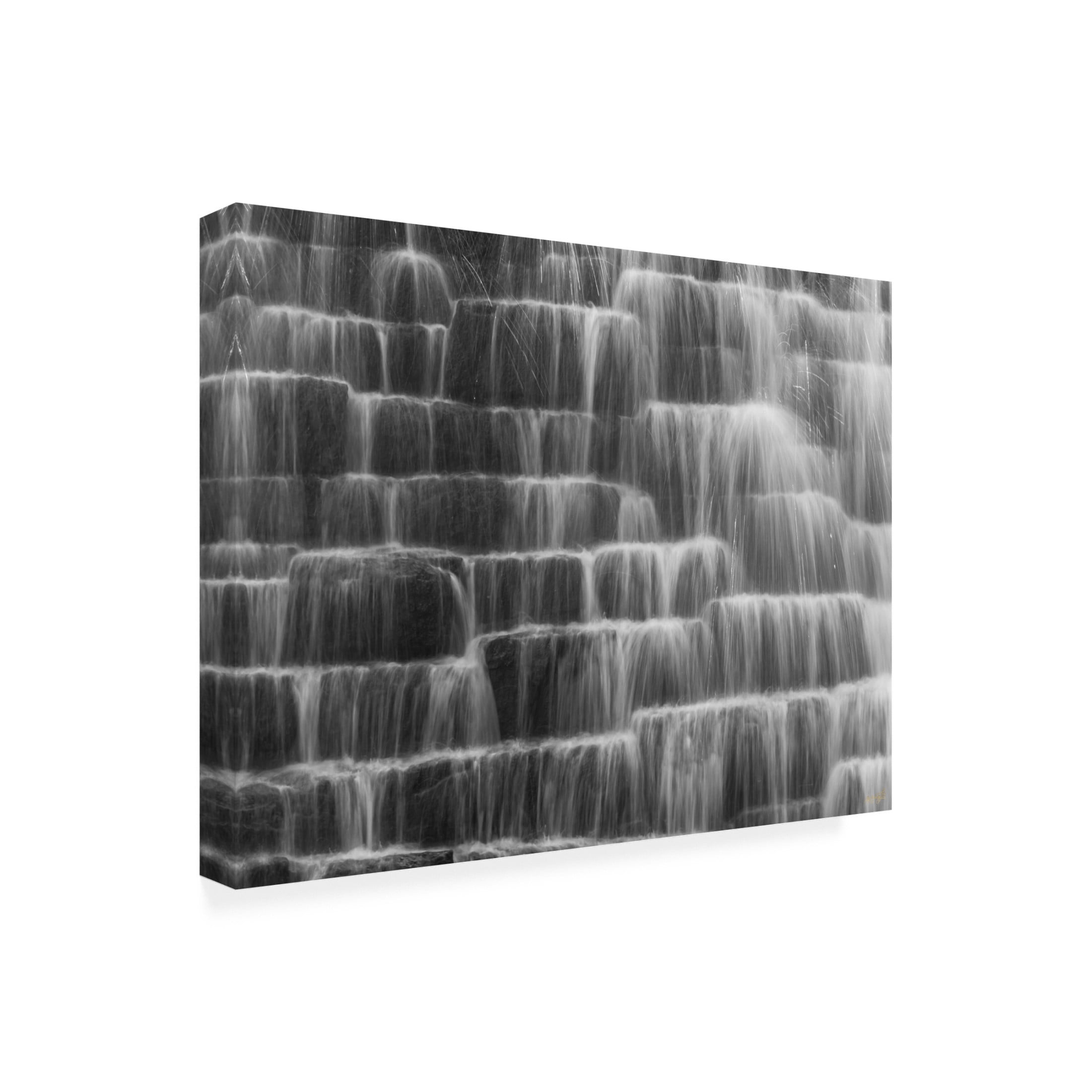 Canvas Wall Art - Life BeautifuLEE 'Water Steps' Wall Art for Living Room, Bedroom, or Office Décor by Trademark Fine Art - 47 x 35 Inches