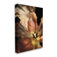 thumbnail image 3 of Stupell Industries Tulip Petals Detail Botanical & Floral Photography Gallery Wrapped Canvas Print Wall Art, 24 x 30, 3 of 7