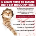 thumbnail image 5 of Liquid Iron Supplements for Cats and Kittens - with Folate and B12 – Supplements Anemia, Promotes Blood Health, Oxygen Supply and Blood Cell Formation – Increase Low Energy Levels – Lethargy - 2 oz, 5 of 10