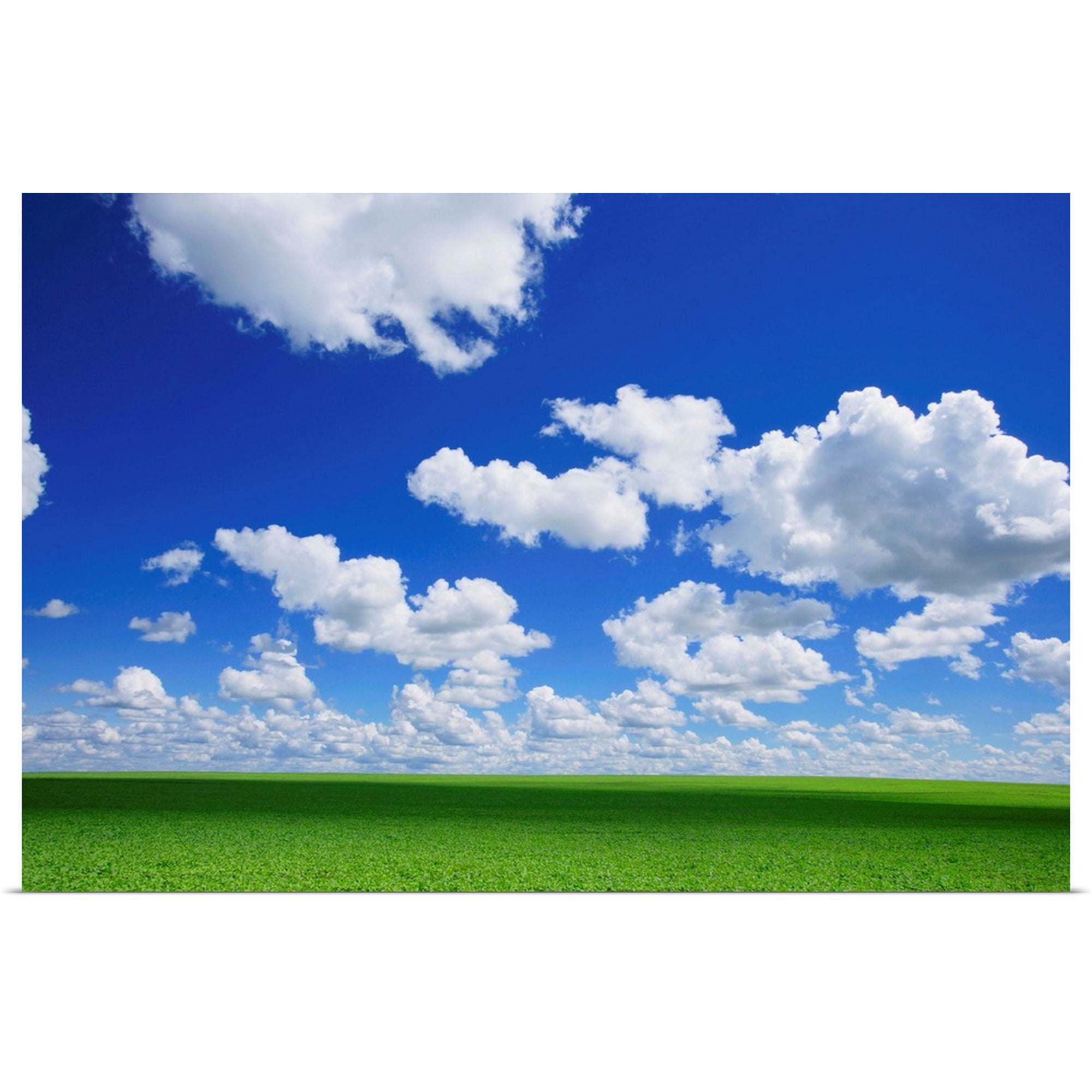 Great BIG Canvas | Rolled Don Hammond Poster Print entitled White Clouds In The Sky And Green Meadow