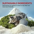 thumbnail image 2 of All For Paws Natural Cassava Grain Cat Litter, 10lb – Superior Clumping | Eco-Friendly | Low Dust | 24/7 Odor Control Cassava Kitty Litter, Unscented, 2 of 8