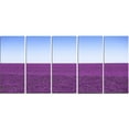 thumbnail image 2 of Lavender Flowers with Blue Horizon - Oversized Landscape Wall Art Print, 2 of 3