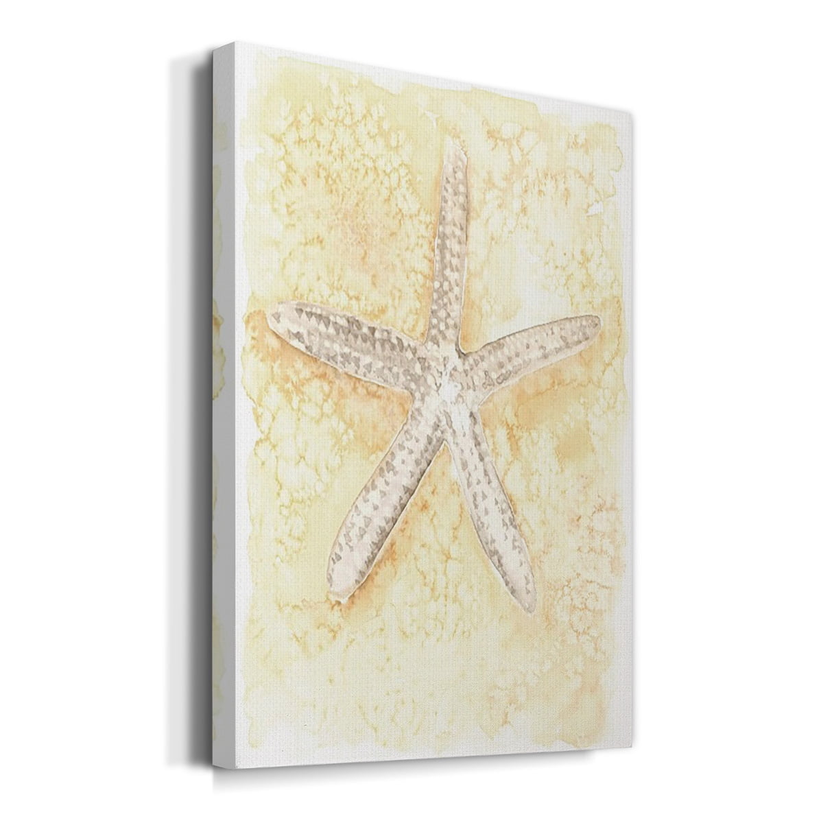 Salty Seashell I Premium Gallery Wrapped Canvas - Ready to Hang