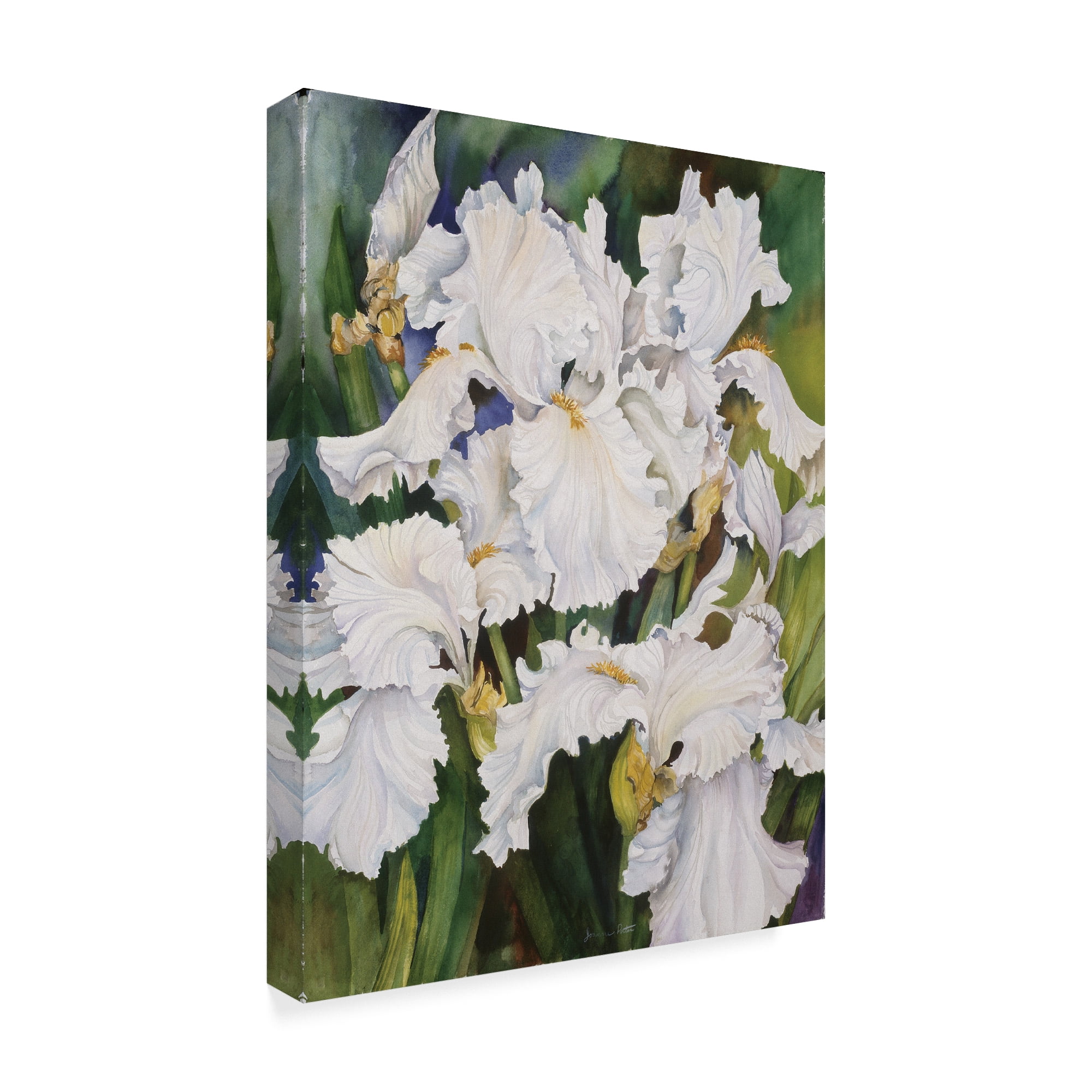 Trademark Fine Art 'White Iris' Canvas Art by Joanne Porter