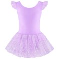 thumbnail image 2 of Emy Dola Kid Girls Ruffle Sleeve Ballet Skirted Leotard Shiny Dance Tutu Dresses Gymnastic Tulle Outfits, 2 of 8