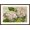 Brown Frame, variant on Art.com Hydrangeas, Nantucket, Massachusetts Art Print, 18" x 12"