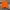 Orange, variant on Generic Womens Sweatshirt V Neck Sweaters Long Sleeve Shirts Fall Clothes Ribbed Collar Trendy Fashion Sweatshirts