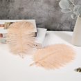 thumbnail image 4 of Feathers Soarer Champagne Avestruz 30-35 cm para jarrón, 15 unidades, 4 of 7