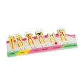 thumbnail image 4 of lionlar Demonstration Tooth Model Education Standard Tooth for School Classroom Kids A, 4 of 9