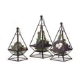 thumbnail image 2 of Laurel Terrariums - Set of 3, 2 of 4