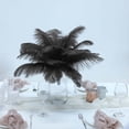 thumbnail image 2 of Efavormart 12 Pack | 13"-15" Black Natural Plume Real Ostrich Feathers, DIY Centerpiece Fillers, 2 of 10