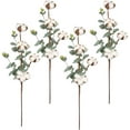 thumbnail image 1 of Tallo de algodón 21 "Flor artificial Ramas de algodón seco natural Granja Decoración de algodón con hojas de eucalipto Plantas para relleno Arreglo floral DIY Home Party Wedding Decoración floral (4 Algodón) oso de fresa Electrónica, 1 of 6