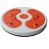 Lightweight Waist Twisting Foot Massage Disc Magnet Balance Rotating Fitness Equipment