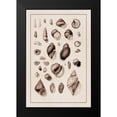 thumbnail image 2 of Sowerby, G.B. 17x24 Black Modern Framed Museum Art Print Titled - Shells: Sessile Cirripedes #2 (Sepia), 2 of 5