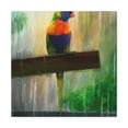 thumbnail image 1 of Rainbow Lorikeet Vista - Canvas, 1 of 10