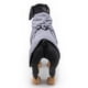 thumbnail image 2 of Bata de baño para perros de fibras ultrafinas (gris, talla M): toalla absorbente para perros que se puede secar después del baño, la natación o un paseo bajo la lluvia., 2 of 5