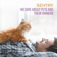 thumbnail image 4 of Spray de corrección de comportamiento Sentry ¡Deja de hacer eso! para gatos, 29 g, 4 of 5