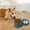 Bleu Foncé, variante sur Bols pour Chats et Chiens - Distributeur d'Eau et Mangeoire pour Animaux en Acier Inoxydable Ensemble de Deux-en-un Amovible pour Usage Intérieur Design Incliné pour Alimentation Facile