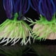 thumbnail image 3 of Simulation Aquatic, Plants, Aquarium ,Ornament Decorations Yinane Simulación acuáticas, 3 of 8