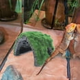 thumbnail image 4 of LEEYNEER Décoration de Rocher Fournitures pour Reptiles Réservoir de Terrarium Peau de Léopard Gecko Cachette de Tortue Cachette de Maison Réservoir Délicat Résine, 4 of 6