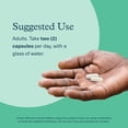 thumbnail image 6 of Youtheory Ashwagandha+GABA, 60 Vegetarian Capsules, 6 of 7