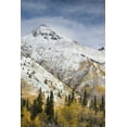 thumbnail image 2 of Grall, Don 23x32 Gold Ornate Wood Framed with Double Matting Museum Art Print Titled - CO, Uncompahgre NF Mountain and aspens in autumn, 2 of 4