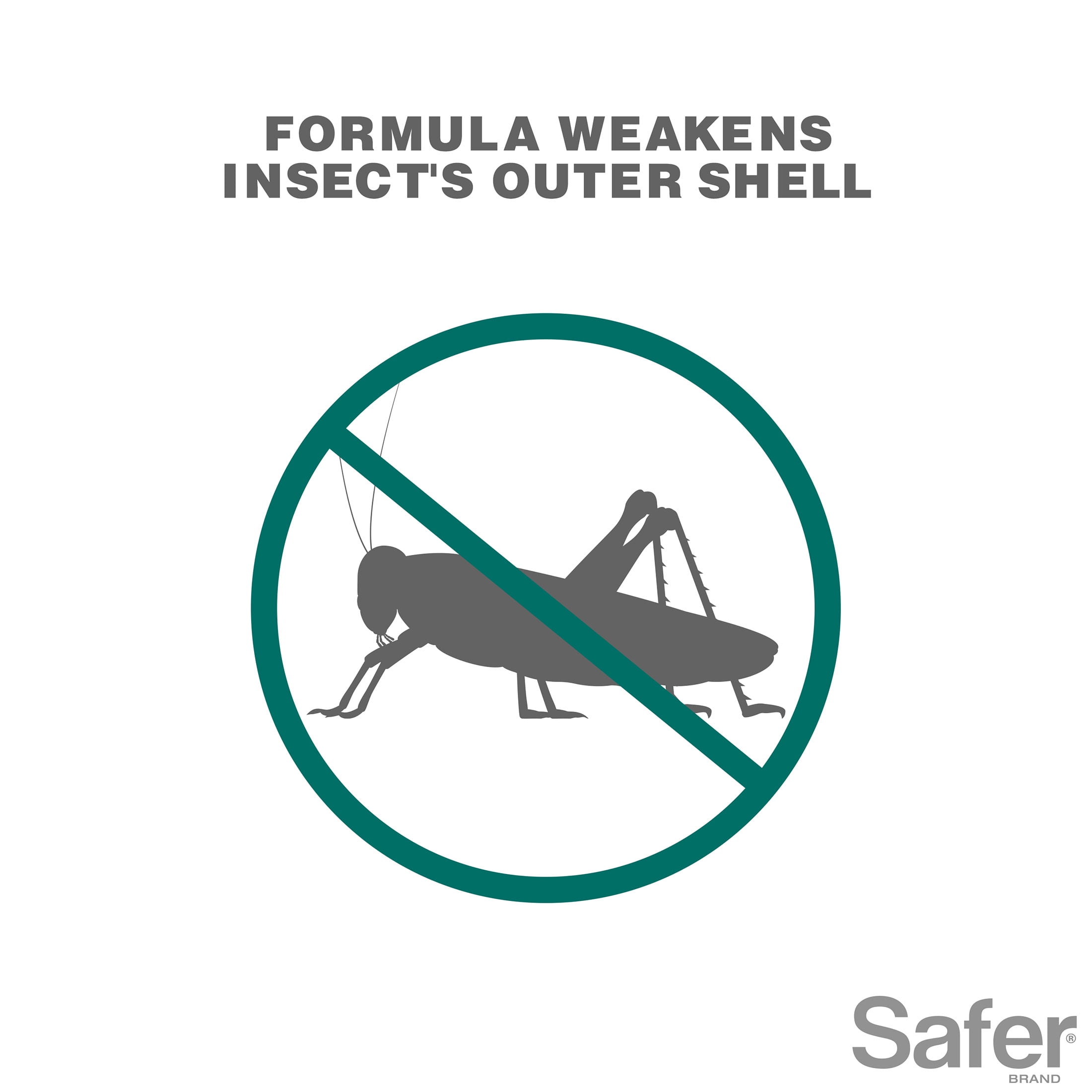 Safer Brand OMRI Listed Insect Count Killing Soap, 16 Fluid Ounce Concentrate