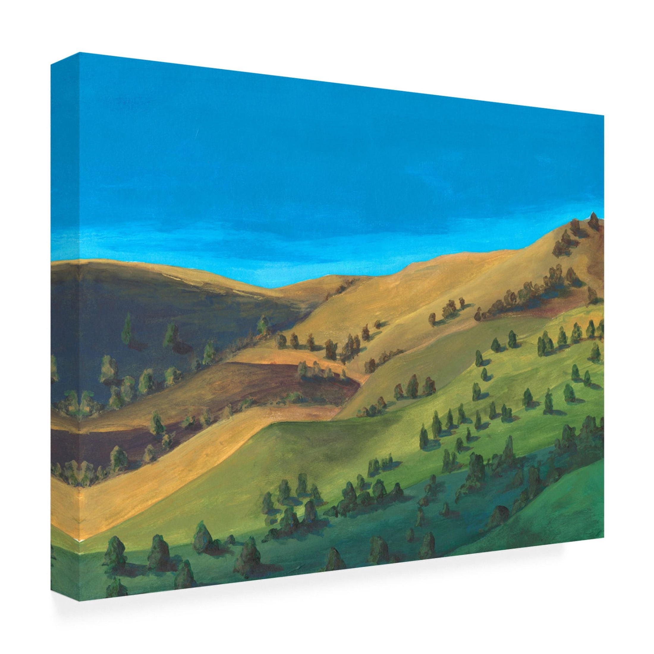 Trademark Fine Art Michael Willett Golden Hillsides II Canvas Wall Art