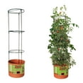 thumbnail image 3 of Hydrofarm GCTB Tomato Barrel Pot Garden Planting System and 4 Foot Trellis Tower, 3 of 5