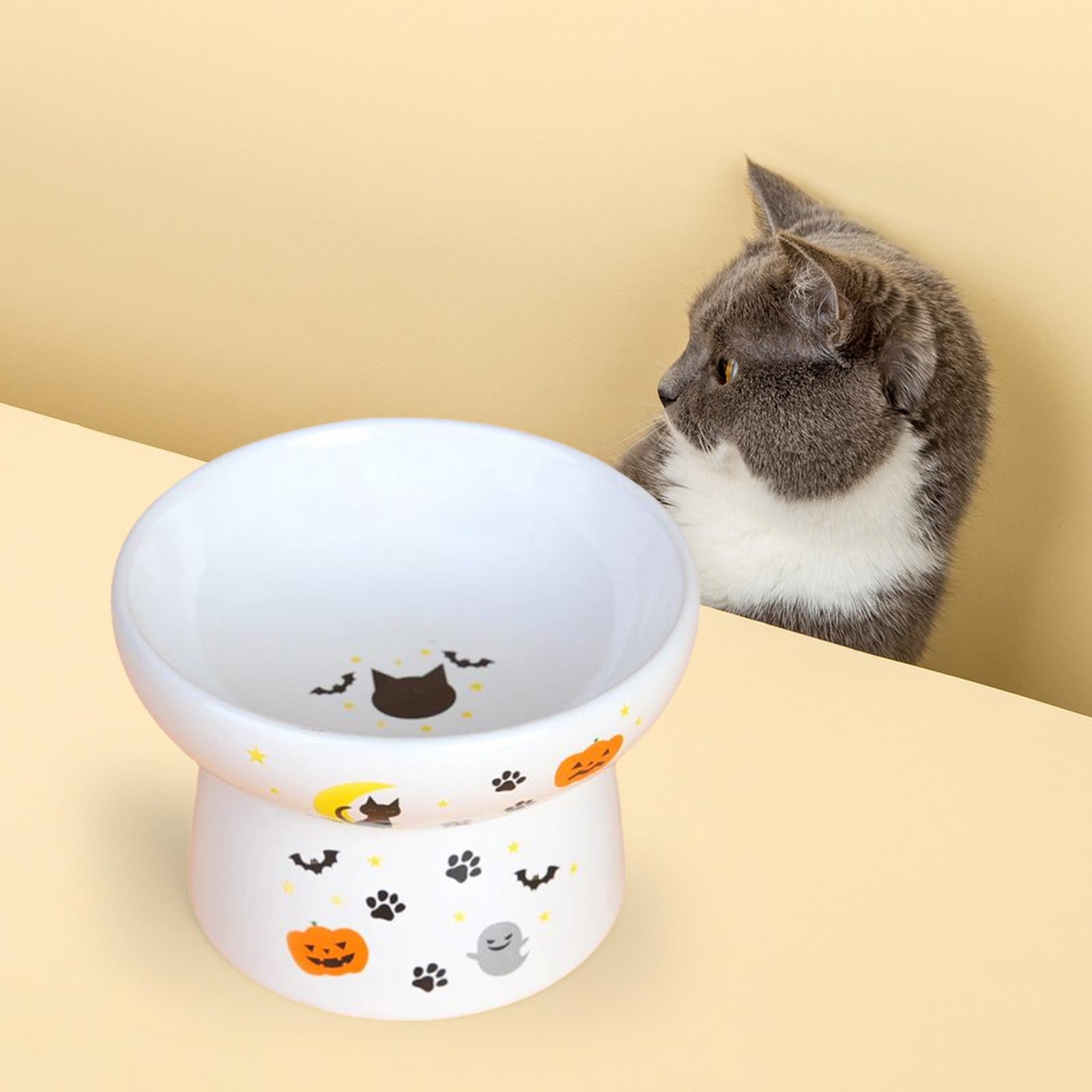 Buy Raised Cat Food Bowl (Cat) for USD 18.49