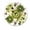 FFclock032, variant on ZXCXRQFa Silent Clocks Lamb With Floral Sheep Vintage Silent Non Ticking Round Wood Wall Clocks Battery Operated Easy to Read 10 Inch Decorative Home Decor for Living Room,Bedroom,Kids Room