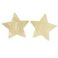 thumbnail image 1 of Cubiertas de pezones de empanadas suministros de estilo confiable de sujetador de encaje Partidas anti-Protrusiones Partes Clubes Multi forma que oculta Kylace Star Flesh 1 par Inevent AP008651-13, 1 of 5