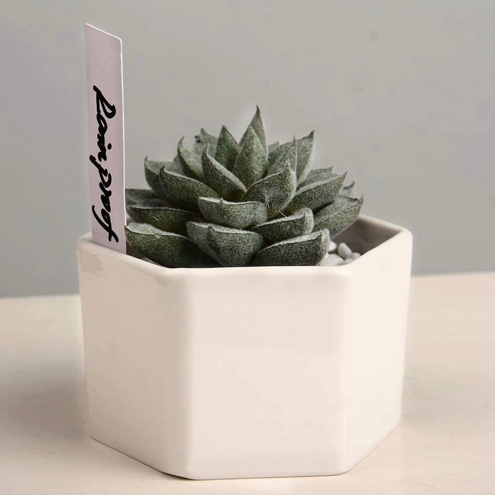 PURELY- Plastic Plant Tags Nursery Garden Labels Waterproof Name Tags 100Pcs