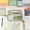 Green, variant on Secfreeship Clear Transparent Pencil Pouch, Large Capacity Cloth Stationery Organizer with Zipper, Multi-Layer Storage Bag for Pens, Markers, Office Supplies and Travel Essentials