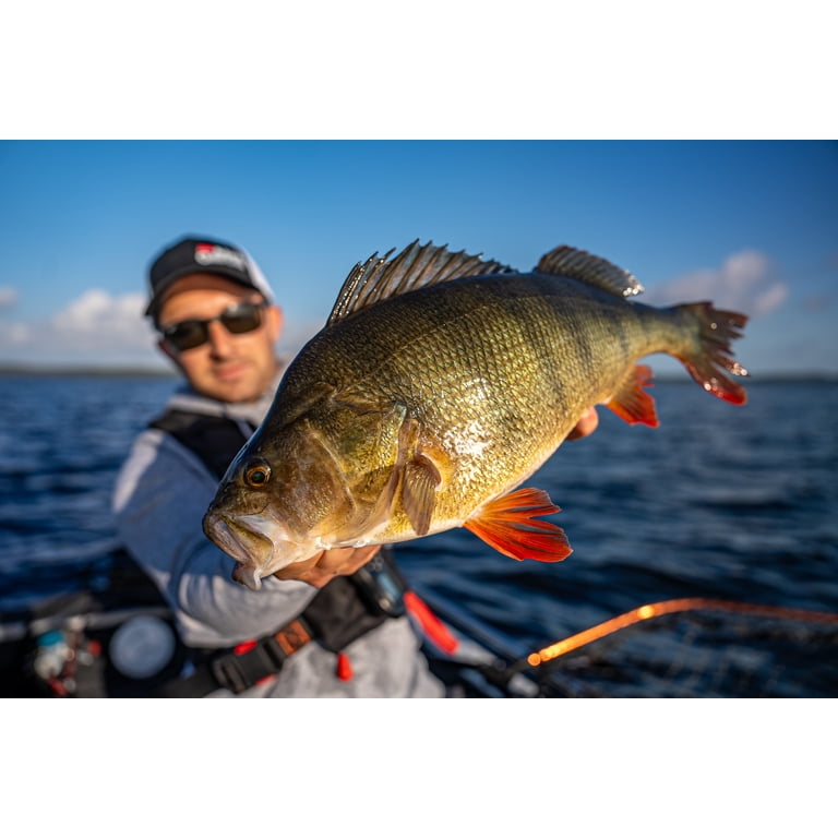 abu garcia black max 30 spinning reel Abu Garcia Black Max Spinning Reel, 30 Size Fishing Reel