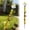 White, variant on Fairy Wand Beaded Garden Stakes, Bee Garden Stakes Fairy Wand DIY Beaded Stakes, Garden Decor Includes Crystal Stopper Top, Bee Pendant, for Craft Supply, Outdoor Decorations, Black