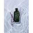 thumbnail image 2 of Tea Tree Shampoo Hydratant à la Lavande et à la Menthe par Paul Mitchell pour Unisexe - Shampooing 33,8 oz, 2 of 5