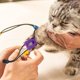 thumbnail image 3 of 5pieces Pet Tournique Tourniquet Profesional de Animales de Emergencia Trauma Venda de Liberación Rápida para Perros Caninos Gatos Espectáculos de Tournique de Mascotas, 3 of 4